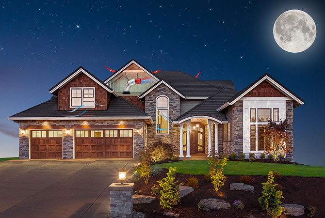 House_ExtendedLandscape