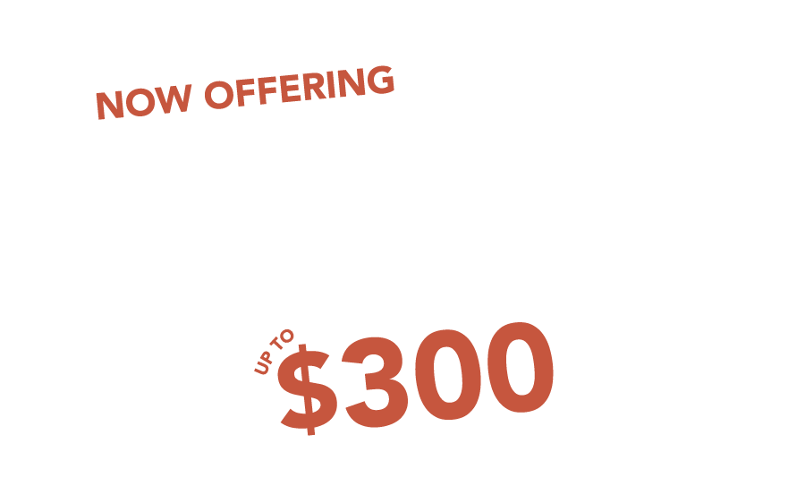 Manufacturer's Rebate up to $300